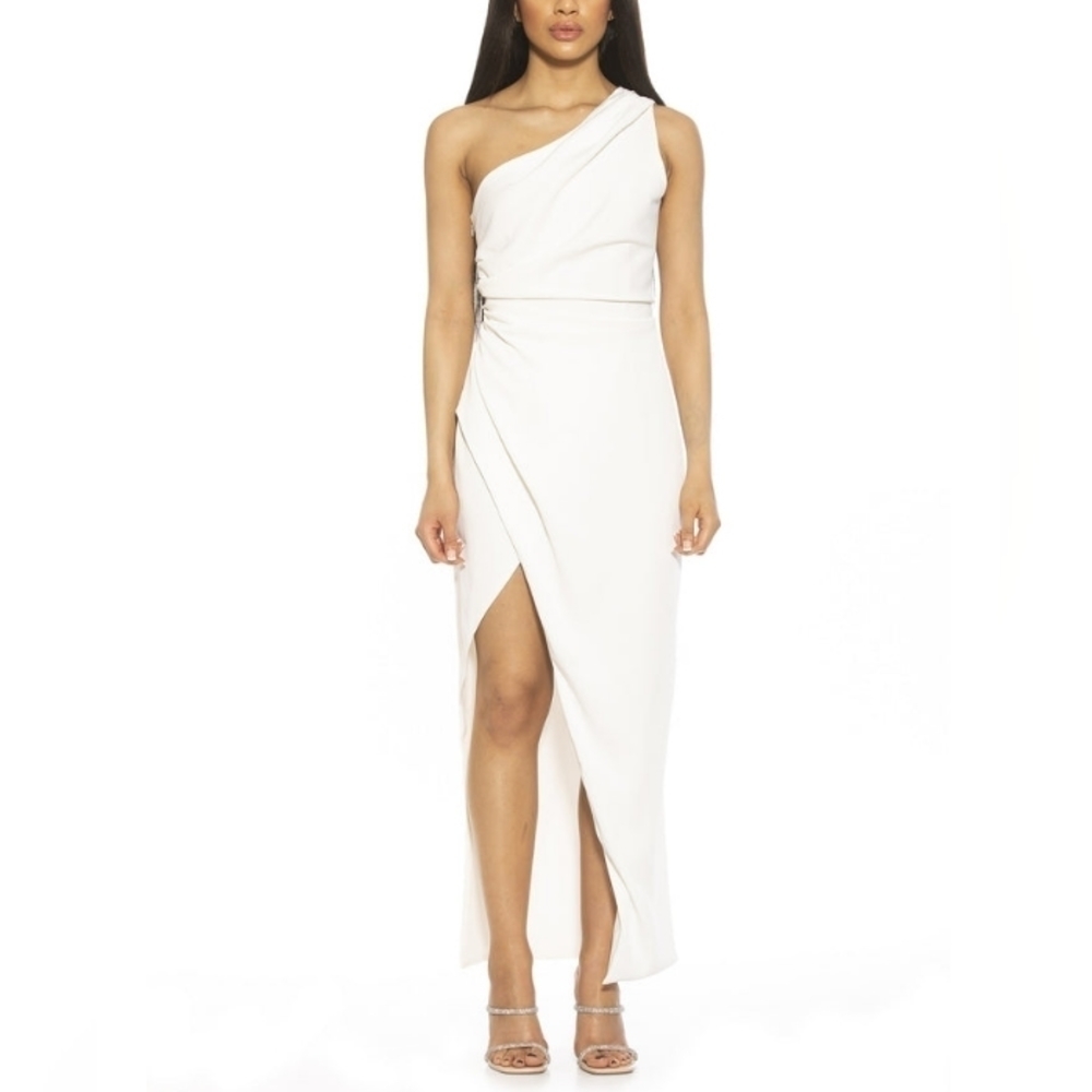 NWT Alexia Admor ALESSI GOWN dress $245